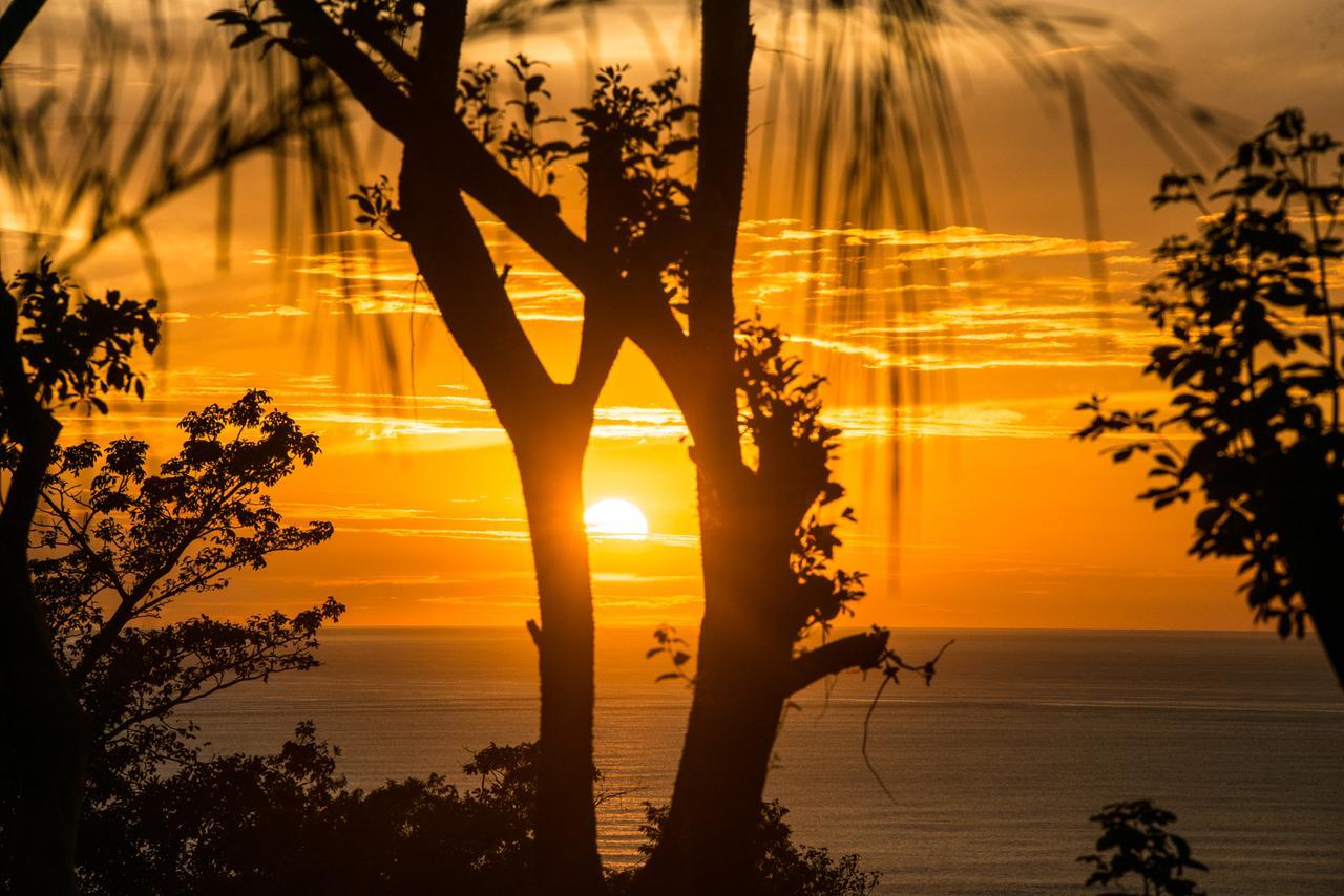 Villa Makai Santa Teresa Playa Santa Teresa  ภายนอก รูปภาพ